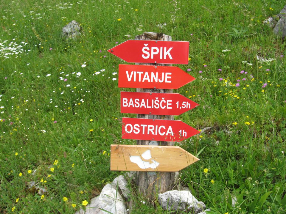Dobrna-Klanc-Špik-Paški Kozjak-19.6.2010 - foto povečava