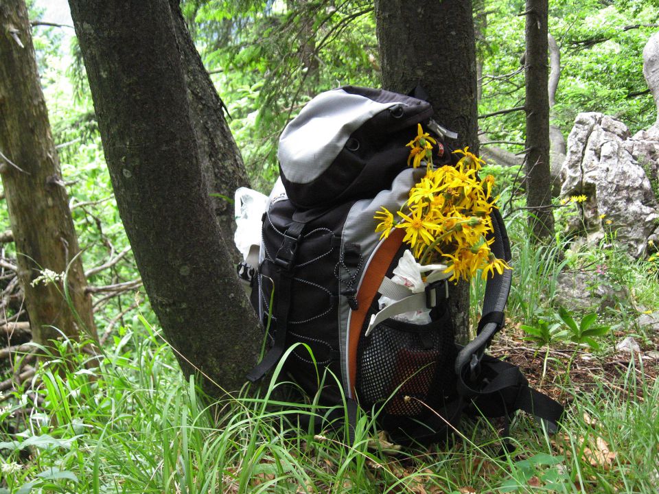 Dobrna-Klanc-Špik-Paški Kozjak-19.6.2010 - foto povečava