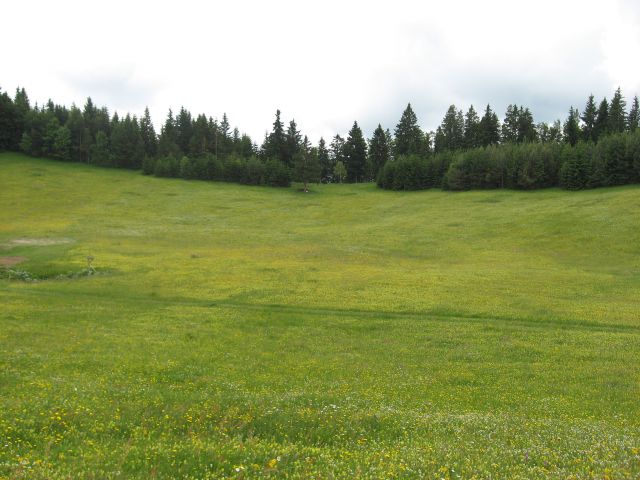 Dobrna-Klanc-Špik-Paški Kozjak-19.6.2010 - foto