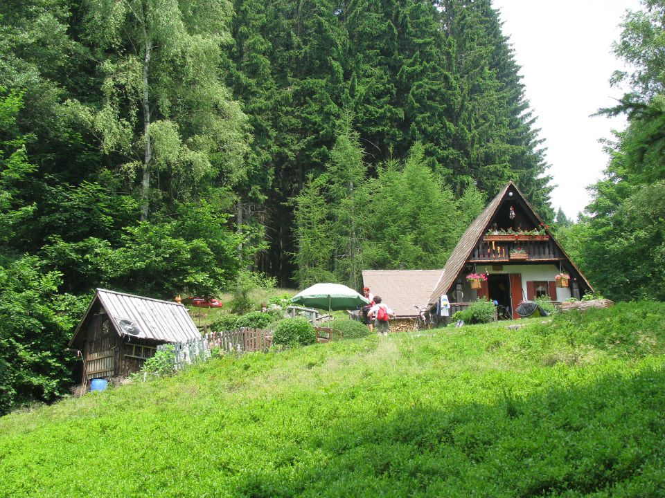 Florjan-Mornova zijalka-Žlebnik-Sleme-4.7.10 - foto povečava