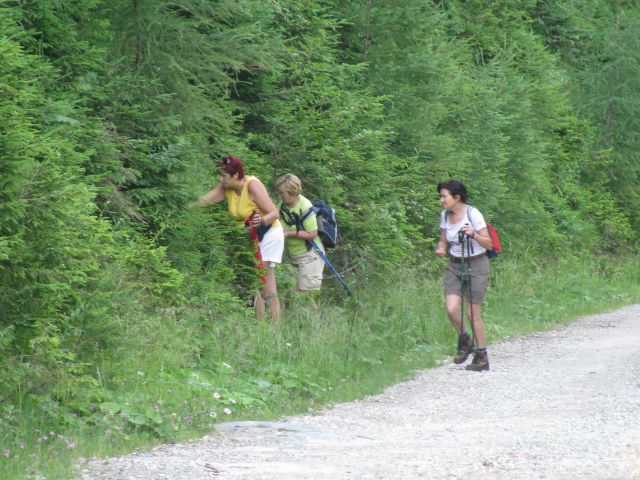 Štajerski rak-Lepenatka-Kašna pl.-11.7.2010 - foto