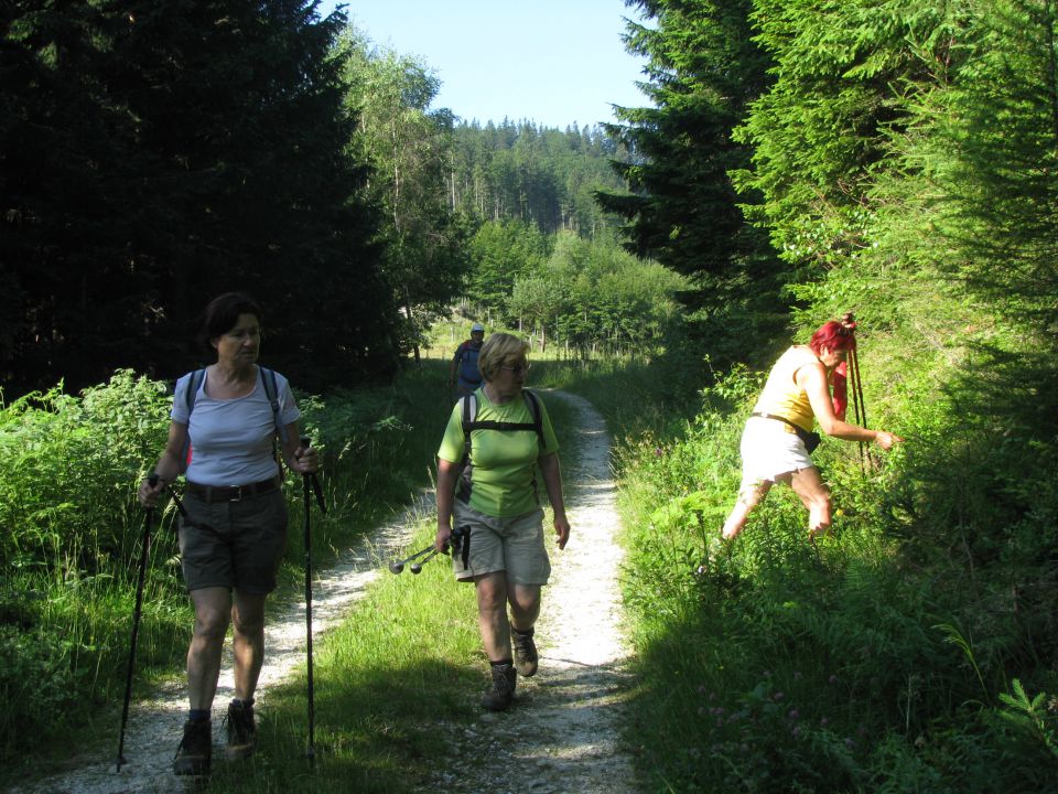 Štajerski rak-Lepenatka-Kašna pl.-11.7.2010 - foto povečava