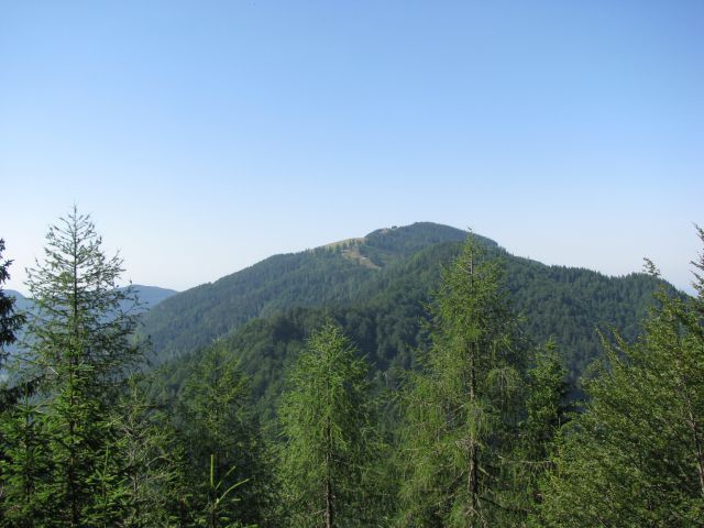 Štajerski rak-Lepenatka-Kašna pl.-11.7.2010 - foto