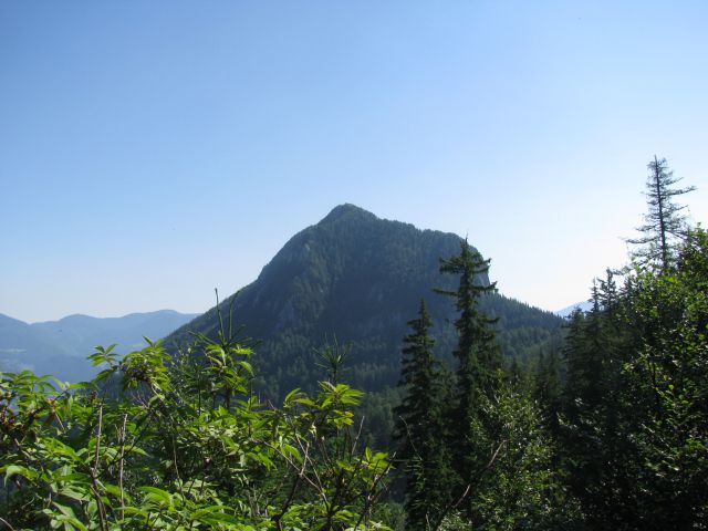 Štajerski rak-Lepenatka-Kašna pl.-11.7.2010 - foto