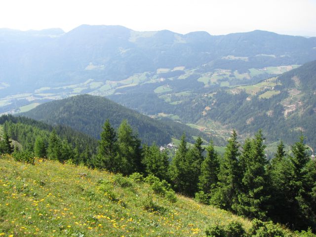 Štajerski rak-Lepenatka-Kašna pl.-11.7.2010 - foto