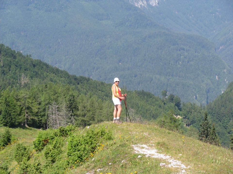 Štajerski rak-Lepenatka-Kašna pl.-11.7.2010 - foto povečava