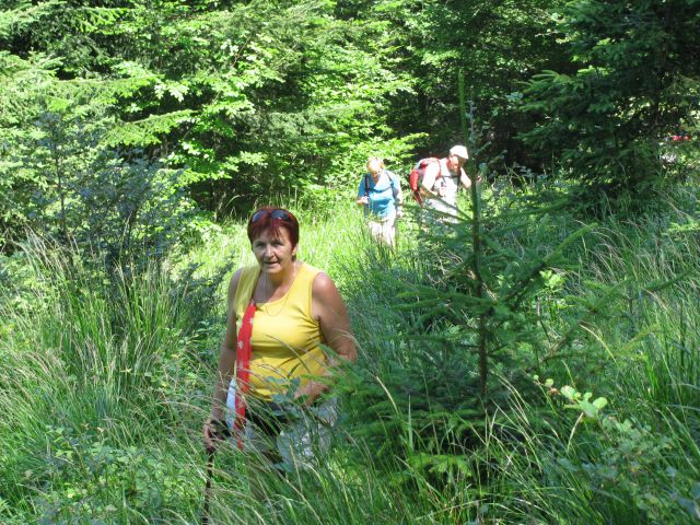 Štajerski rak-Lepenatka-Kašna pl.-11.7.2010 - foto