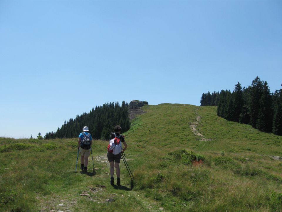 Štajerski rak-Lepenatka-Kašna pl.-11.7.2010 - foto povečava