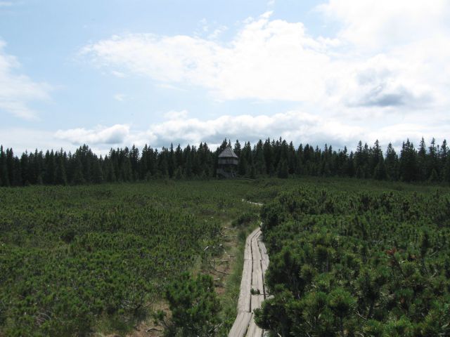 Pesek-Lovrenška jez.-Planinka-Jezerc-18.7.10 - foto