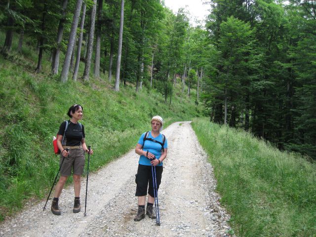 Pesek-Lovrenška jez.-Planinka-Jezerc-18.7.10 - foto