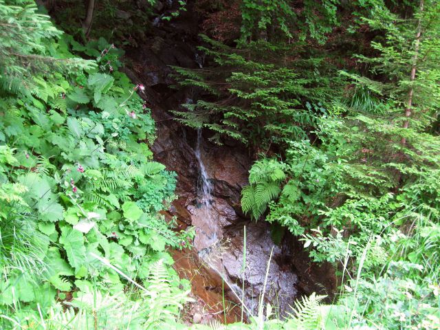 Pesek-Lovrenška jez.-Planinka-Jezerc-18.7.10 - foto