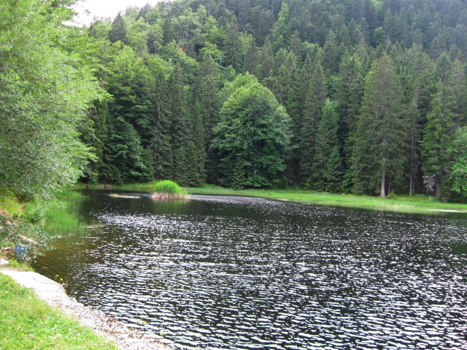 Pesek-Lovrenška jez.-Planinka-Jezerc-18.7.10 - foto povečava