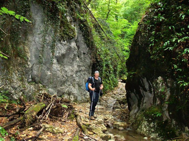 Pečovje-Hudičev graben-Tolsti vrh-25.7.2010 - foto