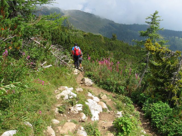 Bukovnik-Grohat-Raduha-Loka-Durce-22.8.10 - foto