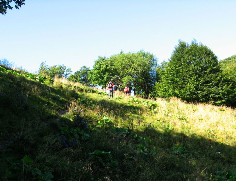 Davča-Porezen,Bolnica Franja, Sivka-29.8.2010 - foto povečava