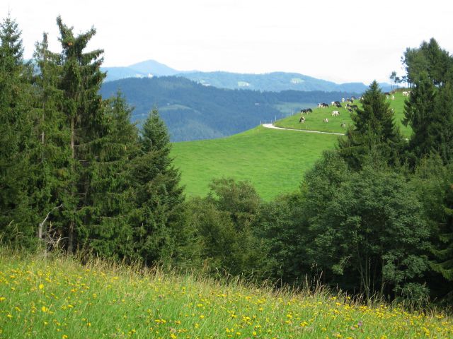 Davča-Porezen,Bolnica Franja, Sivka-29.8.2010 - foto