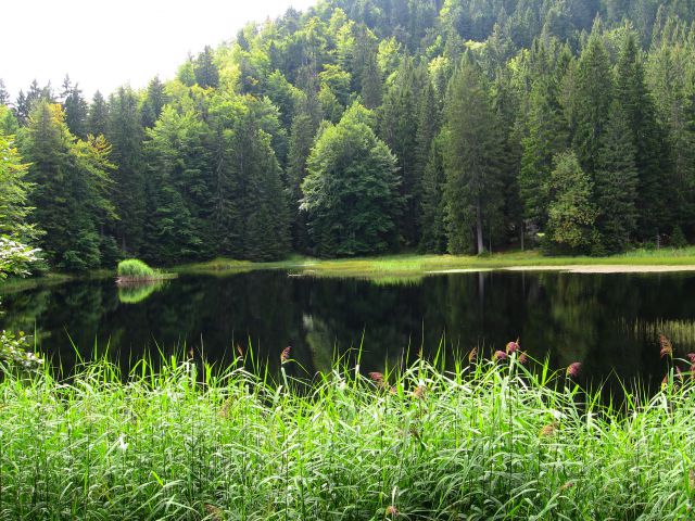 Pesek-Lovrenška jez.-Planinka-Jezerc-12.9.10R - foto