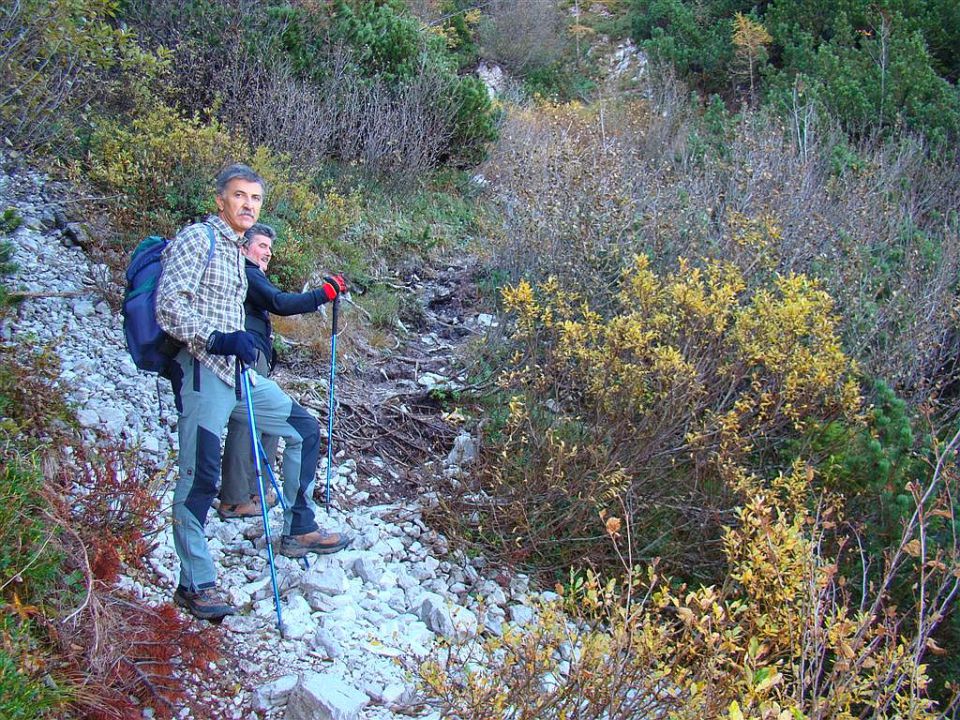 Logarska-Krokička-Strelovec-Kl.j.-10.10.2010 - foto povečava