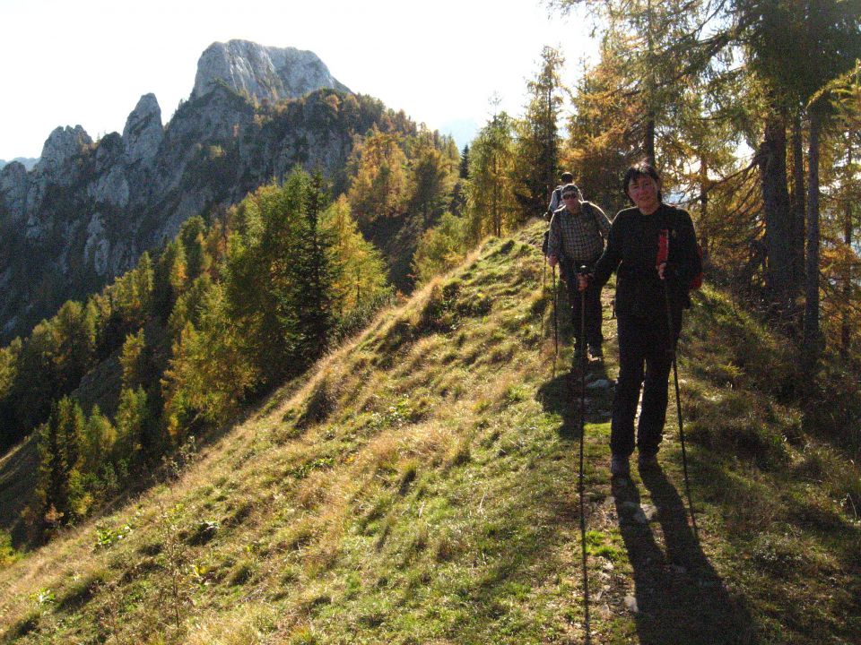 Logarska-Krokička-Strelovec-Kl.j.-10.10.2010 - foto povečava