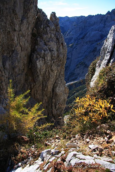 Logarska-Krokička-Strelovec-Kl.j.-10.10.2010 - foto povečava