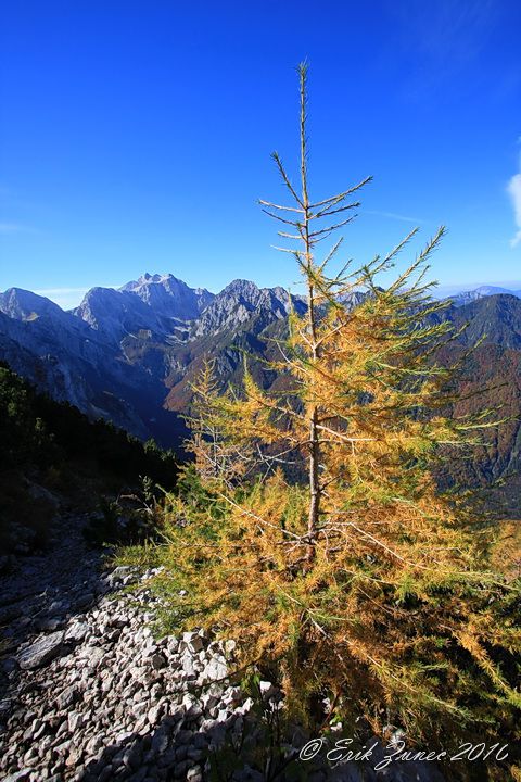 Logarska-Krokička-Strelovec-Kl.j.-10.10.2010 - foto povečava