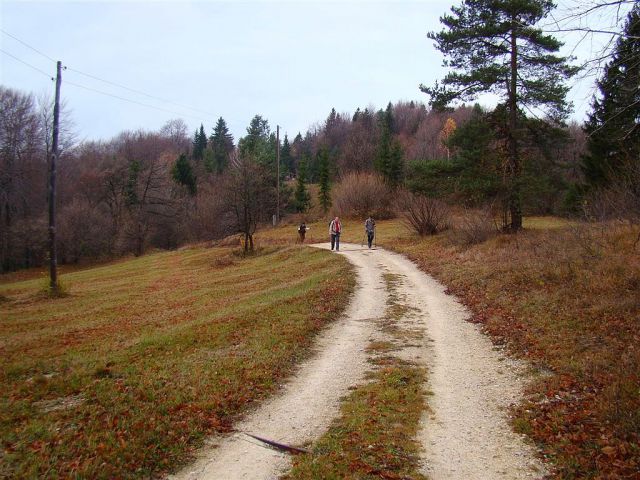 Hrastnik-Gore-Kopitnik-Rimske t.-7.11.2010 - foto