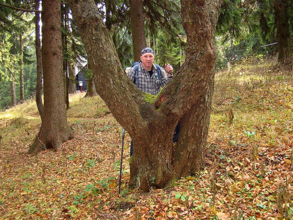 Hrastnik-Gore-Kopitnik-Rimske t.-7.11.2010 - foto povečava