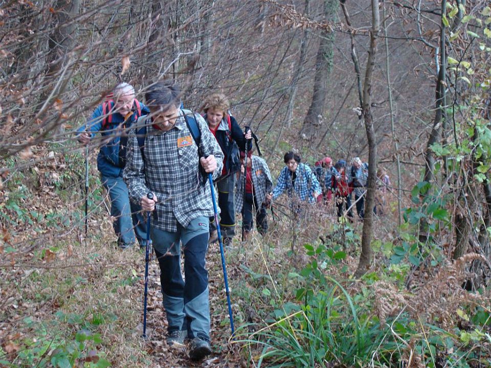 Praznovanje abrahama-Betke-13.11.2010 - foto povečava