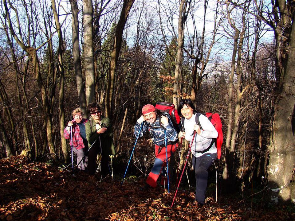 Praznovanje abrahama-Betke-13.11.2010 - foto povečava