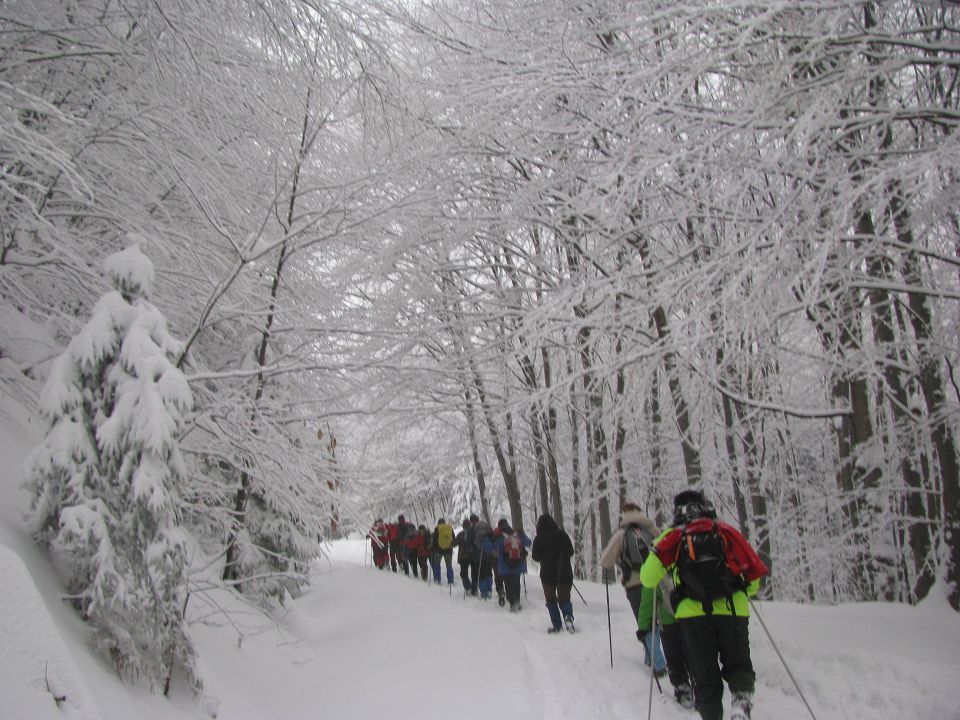 10.Barbarin pohod - 4.12.2010 - foto povečava