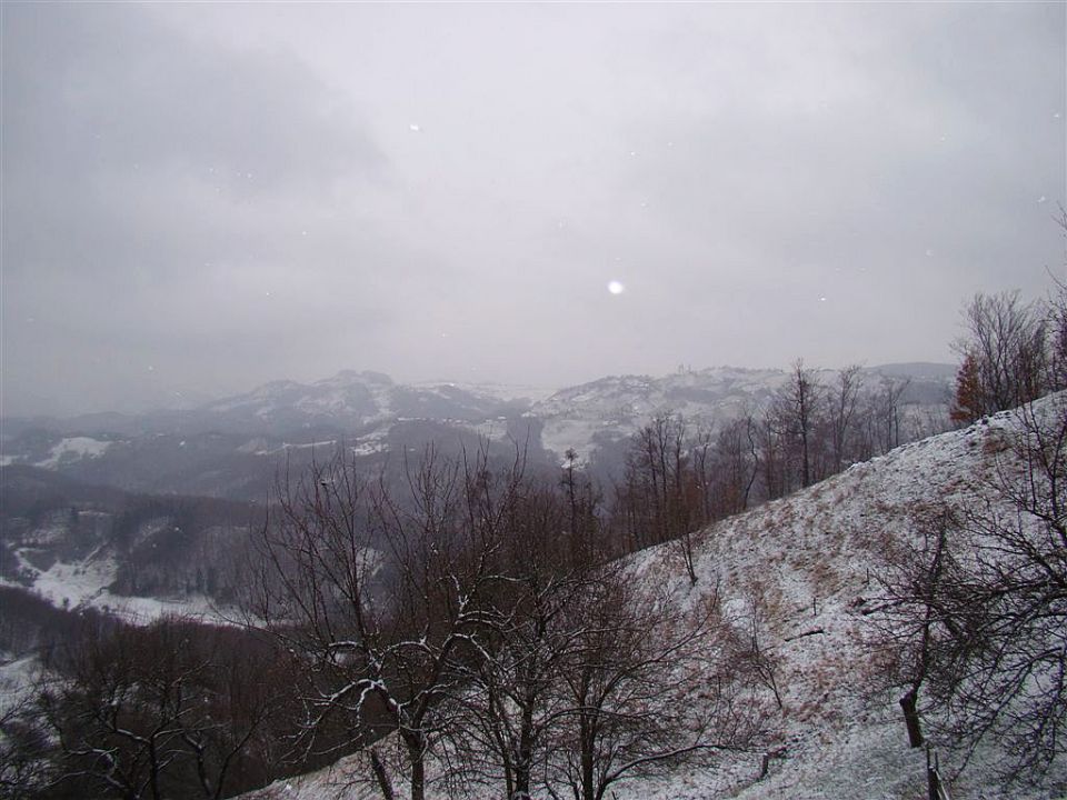 Zaključni pohod društva na Žusem-26.12.2010 - foto povečava