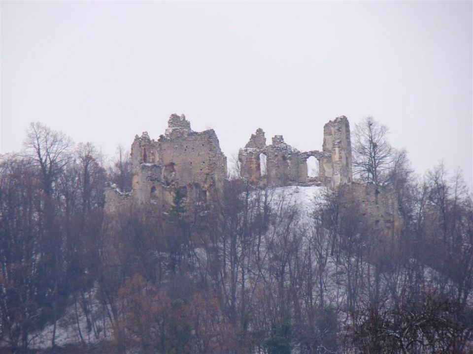 Zaključni pohod društva na Žusem-26.12.2010 - foto povečava