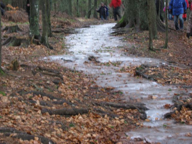 Rogla-Pesek-Osankarica-Kot 8.1.2011 - foto