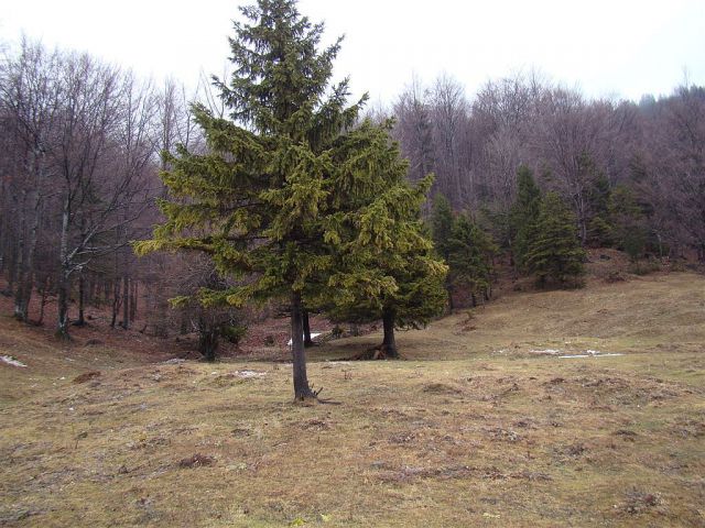 Stahovica-Pl.Kisovec-Sv.Primož-9.1.2011 - foto