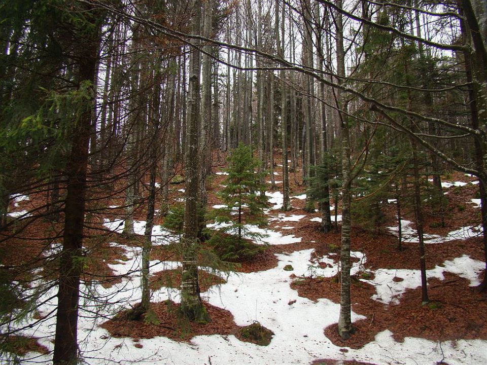 Stahovica-Pl.Kisovec-Sv.Primož-9.1.2011 - foto povečava