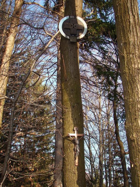 Polzela-Podvin-Gora Oljka-Vimperk-16.1.2011 - foto