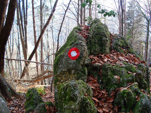 Polzela-Podvin-Gora Oljka-Vimperk-16.1.2011 - foto