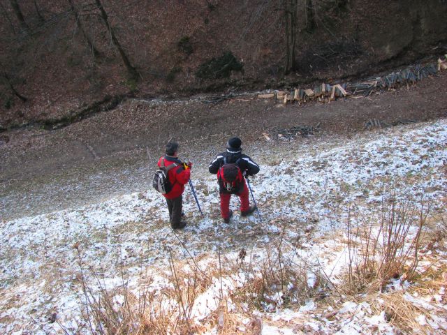 Griže-Hom-Migojnice-Bukovica-23.1.2011 - foto