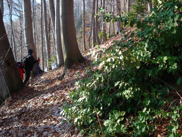 Griže-Hom-Migojnice-Bukovica-23.1.2011 - foto