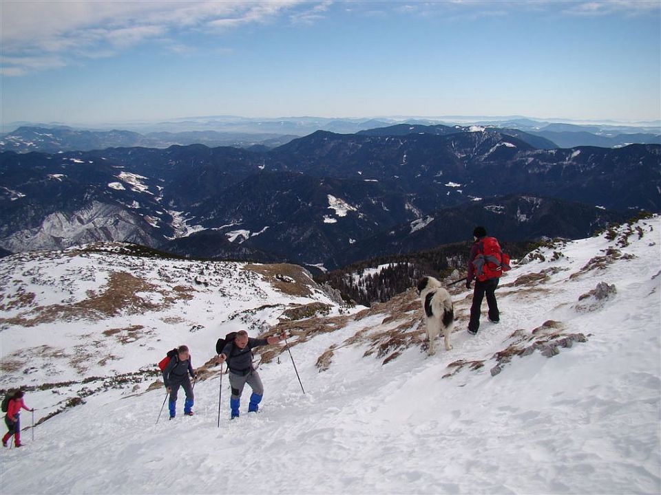 Mitnik(Podpeca)-Dom na Peci-Peca-6.2.2011 - foto povečava