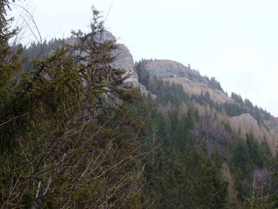 Žekovec-Mozirska koča-Medvednjak-13.2.2011 - foto povečava