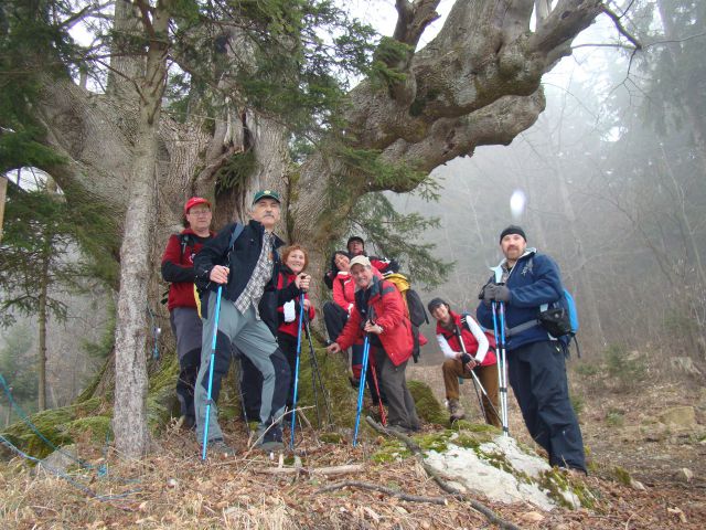 Žekovec-Mozirska koča-Medvednjak-13.2.2011 - foto