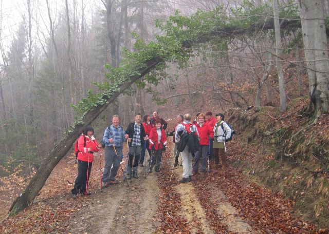 Poljčane-Ljubična-Nunska g.-Dolga g.-20.2.11 - foto