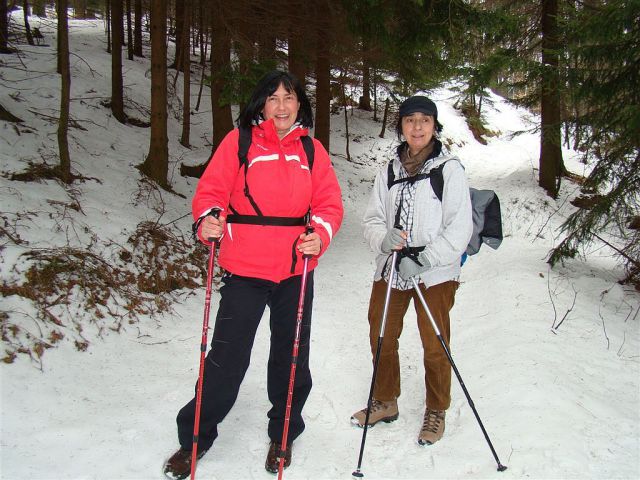 Hleviška pl.-Bevkov v.-Ermanovec-6.3.2011 - foto