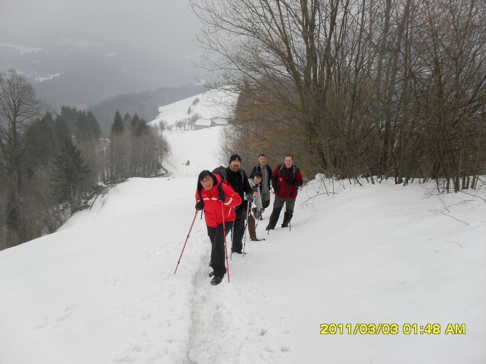 Hleviška pl.-Bevkov v.-Ermanovec-6.3.2011 - foto povečava