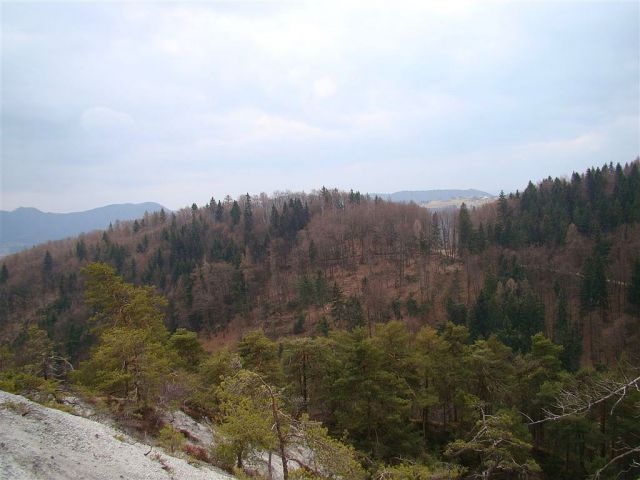 Krašnja-Limbarska gora-Trojane-13.3.2011 - foto