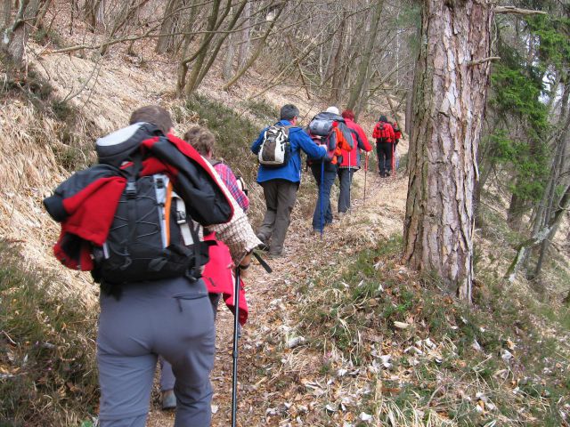 Krašnja-Limbarska gora-Trojane-13.3.2011 - foto