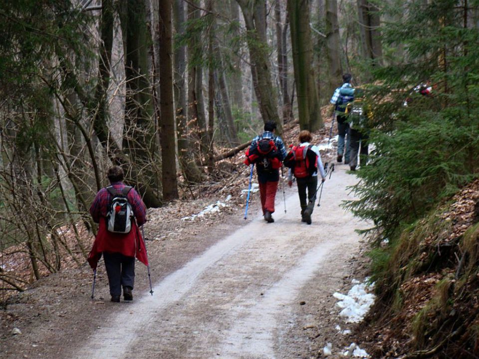 Krašnja-Limbarska gora-Trojane-13.3.2011 - foto povečava