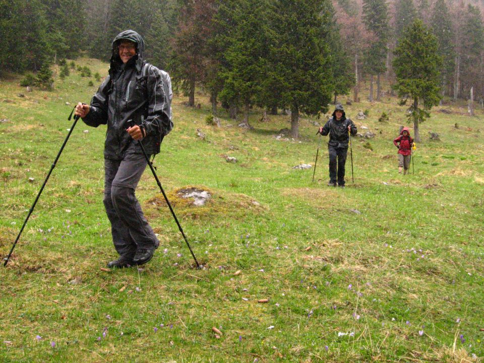 K. hrib-Dolski graben-Pl.Dol-Konj-25.4.2011 - foto povečava