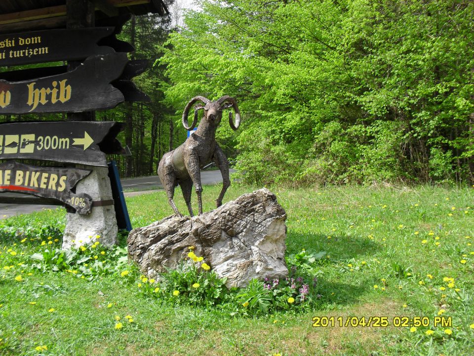 K. hrib-Dolski graben-Pl.Dol-Konj-25.4.2011 - foto povečava